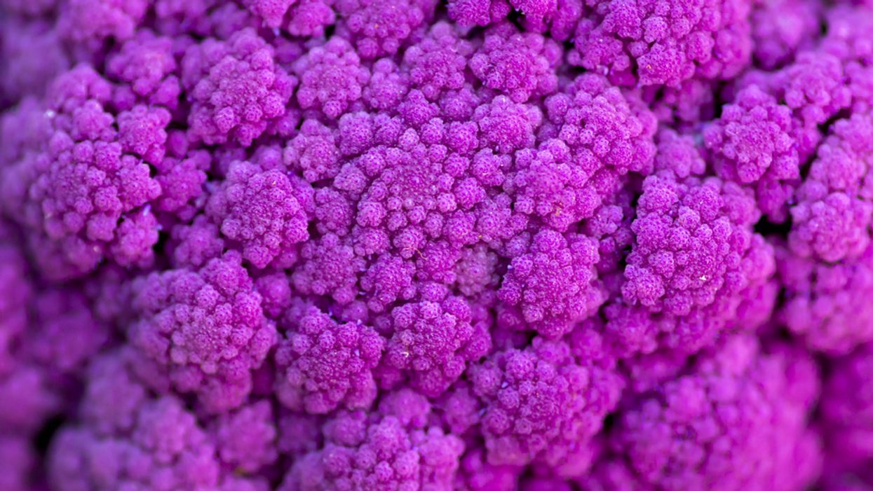 papiloma virus human papilloma virus hpv vph sintomas
