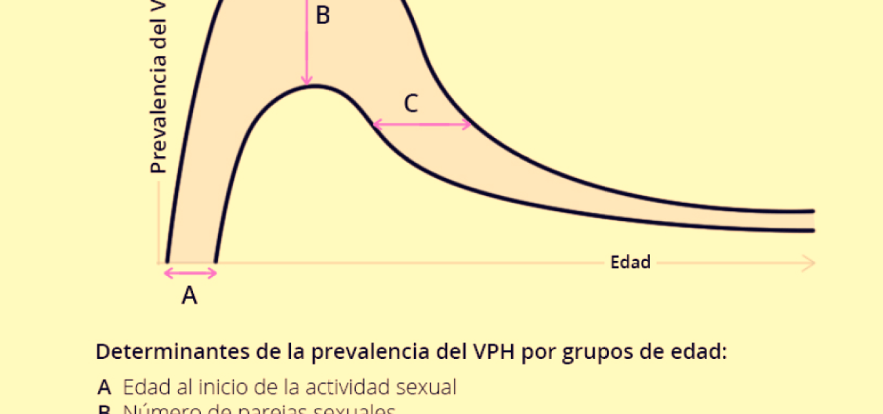 VIRUS DE PAPILOMA POR EDAD